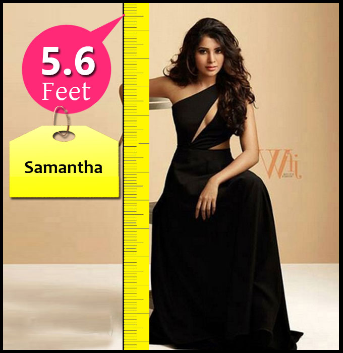 Check Out The Height Of Tamil Celebrities