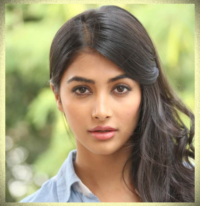 South Indian Actress Who Shine In Bollywood Industry Filmibeat