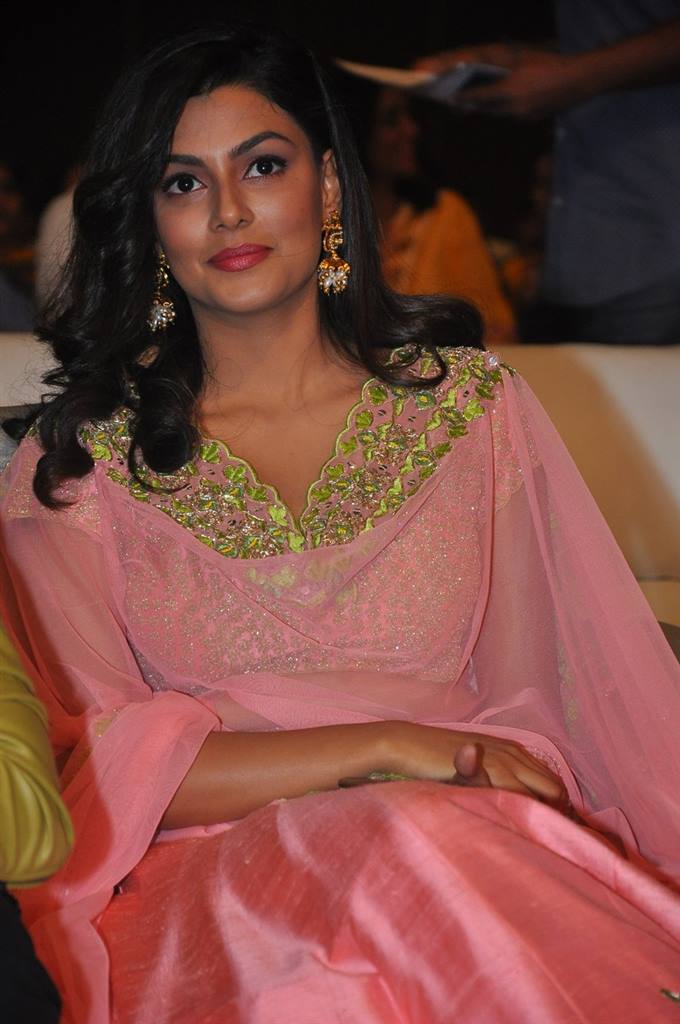 Fashion Designer S/O Ladies Trailer Pre Release Function