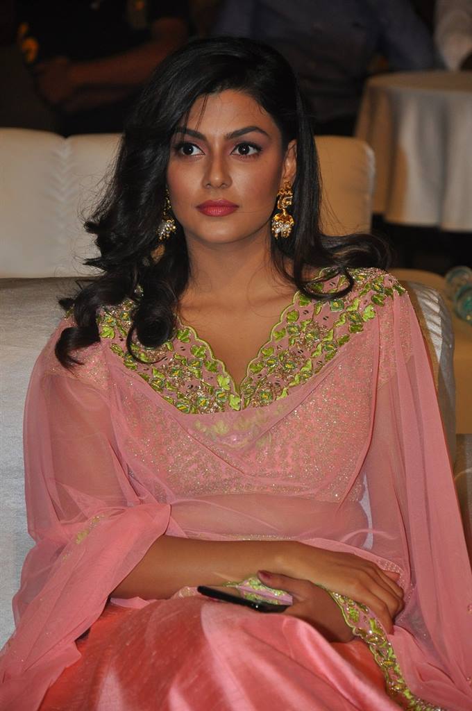 Fashion Designer S/O Ladies Trailer Pre Release Function