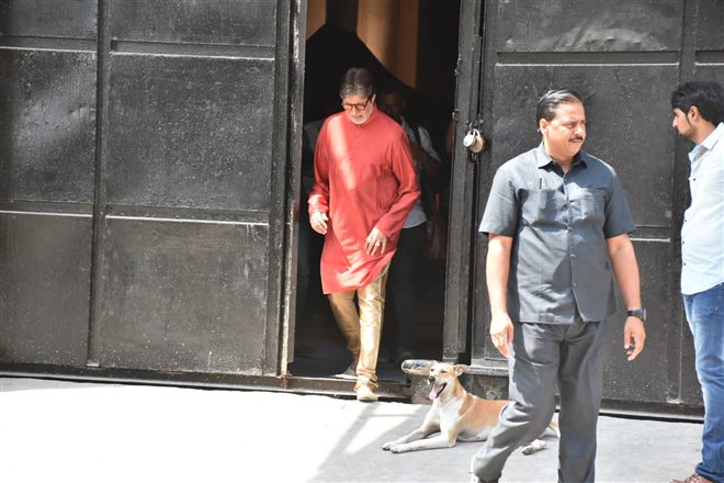Amitabh Bachchan Spotted During Photoshoot For Kalyan Jewellers