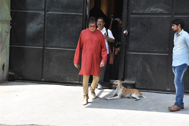 Amitabh Bachchan Spotted During Photoshoot For Kalyan Jewellers