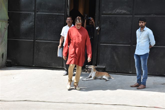 Amitabh Bachchan Spotted During Photoshoot For Kalyan Jewellers