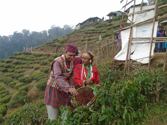 Bangalore To Kashmir