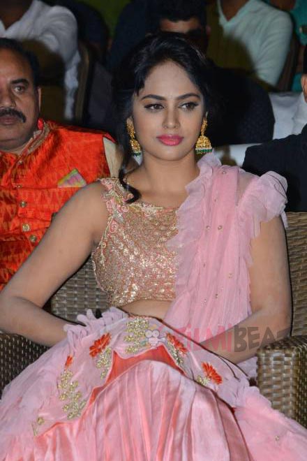 Srinivasa Kalyanam Movie Audio Launch