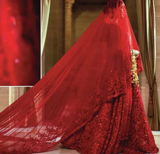 Priyanka Chopra And Nick Jonas Marriage Photos