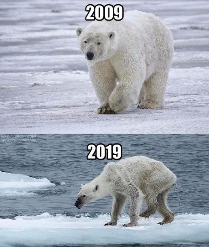 10Year Challenge Memes Filmibeat