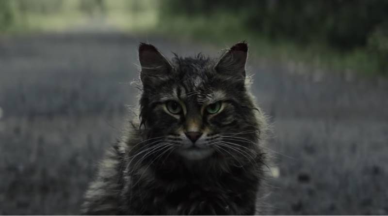 Pet Sematary