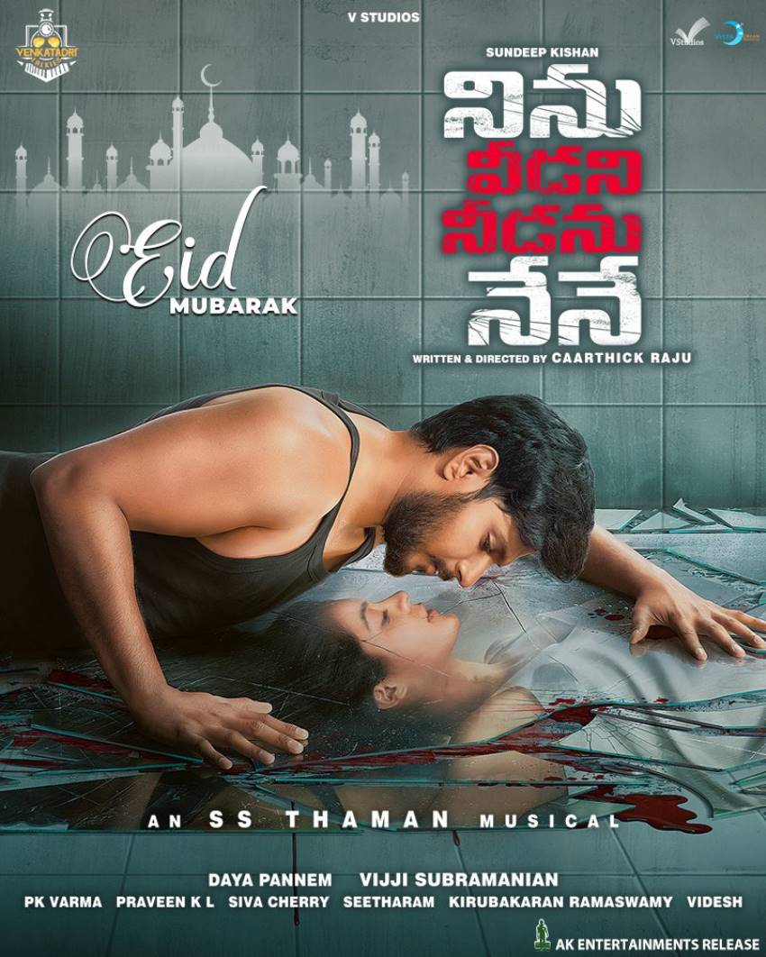 Ninu Veedani Needanu Nene