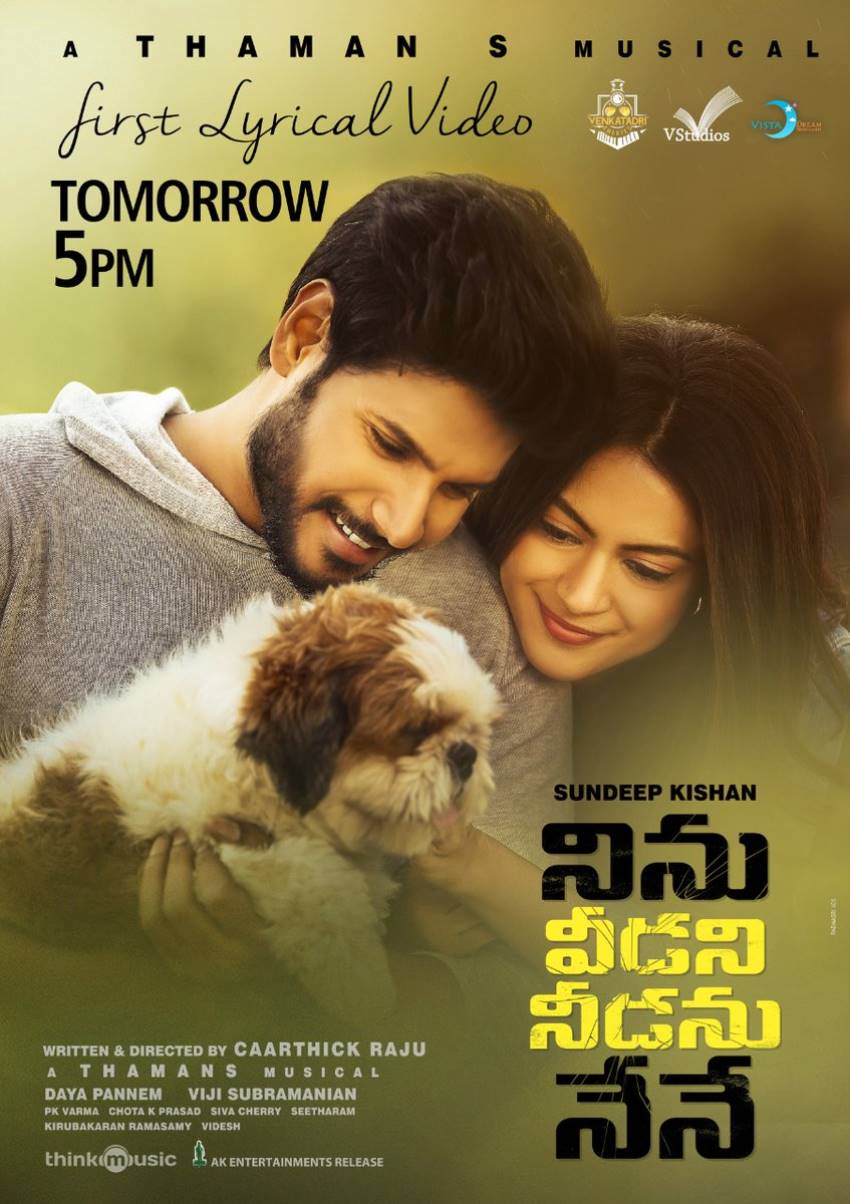 Ninu Veedani Needanu Nene