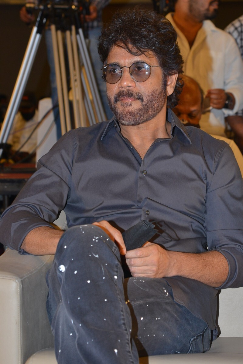 Wild Dog Movie Success meet