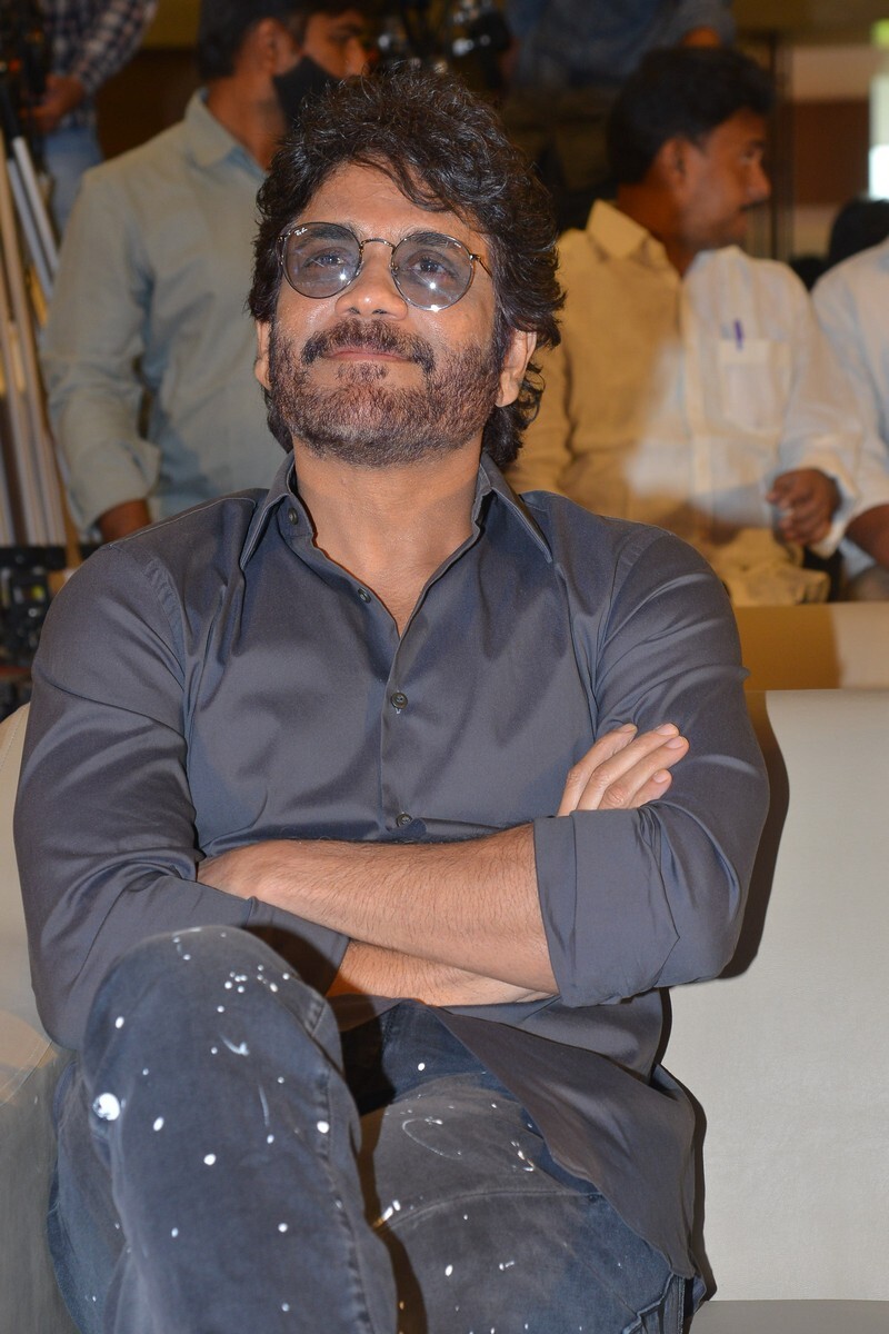 Wild Dog Movie Success meet