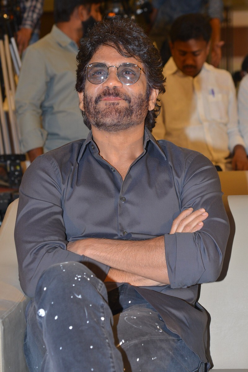 Wild Dog Movie Success meet