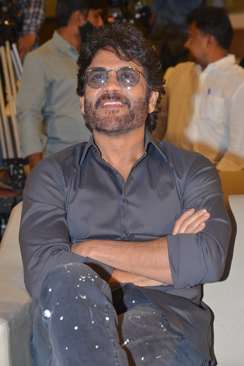 Wild Dog Movie Success meet