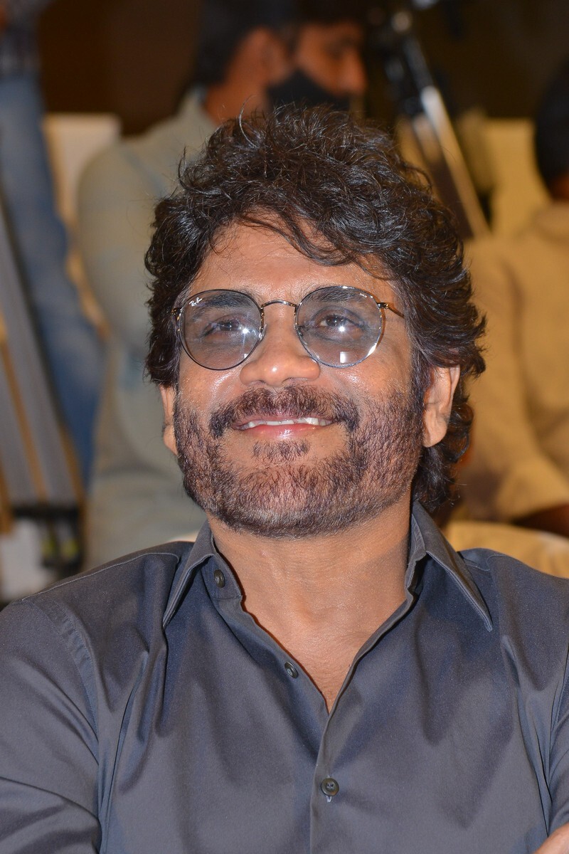 Wild Dog Movie Success meet