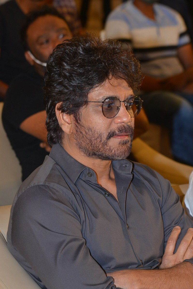 Wild Dog Movie Success meet