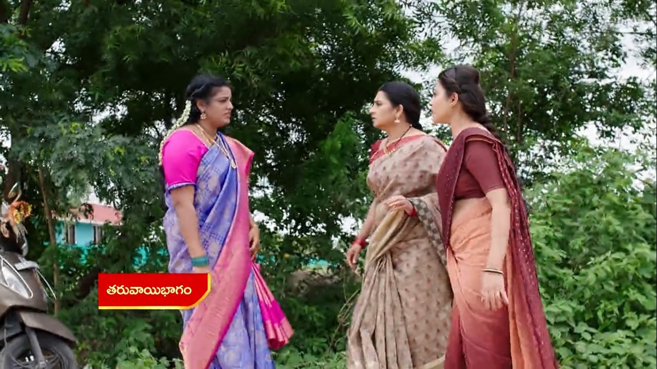 Vadinamma : అమ్మో పార్వతి..రౌడీ సాయంతో వైదేహి కిడ్నాప్.. ఊపిరి ఆడకుండా?