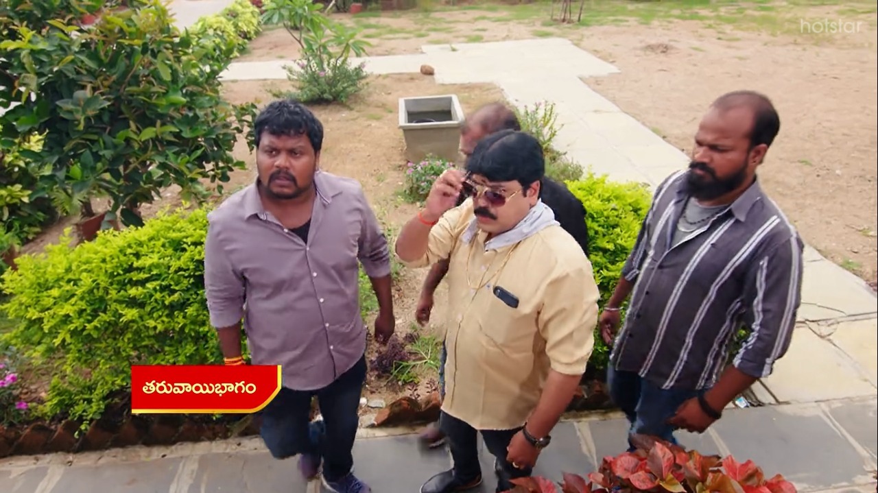Vadinamma : అమ్మో పార్వతి..రౌడీ సాయంతో వైదేహి కిడ్నాప్.. ఊపిరి ఆడకుండా?