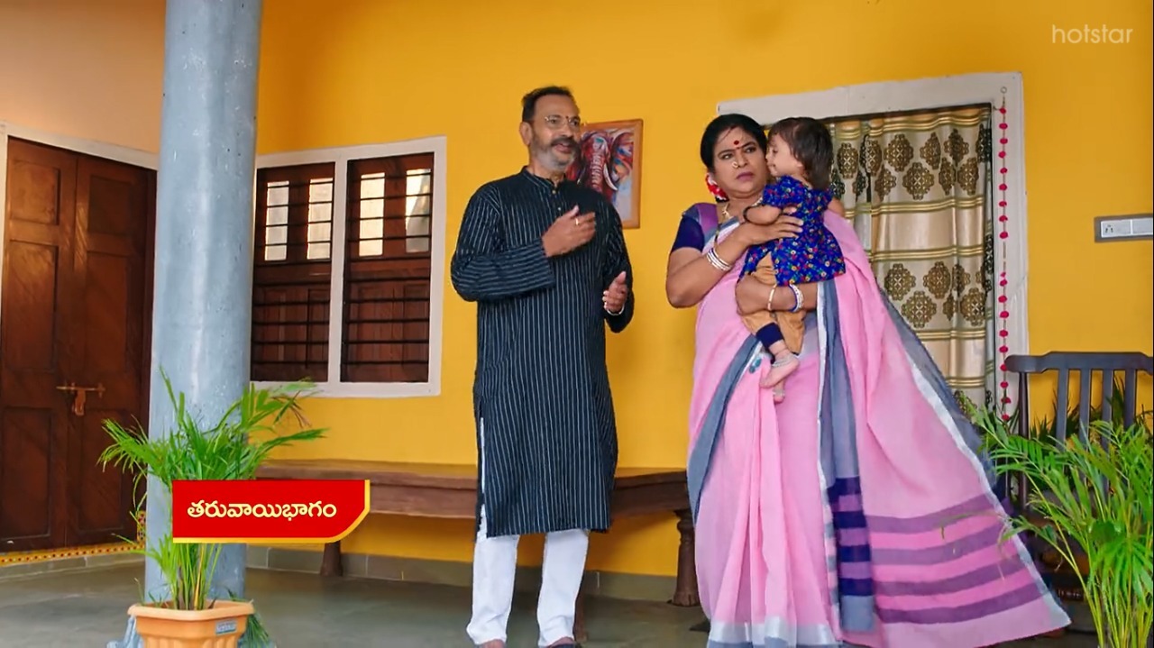 Vadinamma : అమ్మో పార్వతి..రౌడీ సాయంతో వైదేహి కిడ్నాప్.. ఊపిరి ఆడకుండా?