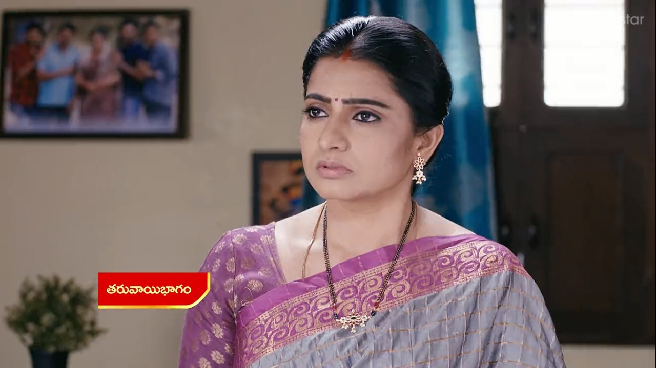 Vadinamma : భలే స్కెచ్ వేసిన దమయంతి.. ఇల్లరికం పక్కా అయ్యేలా ప్లాన్!