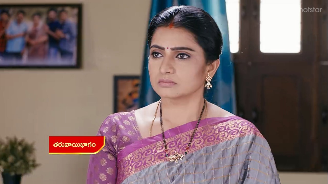Vadinamma : భలే స్కెచ్ వేసిన దమయంతి.. ఇల్లరికం పక్కా అయ్యేలా ప్లాన్!
