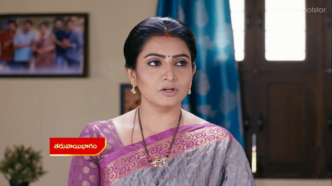Vadinamma : భలే స్కెచ్ వేసిన దమయంతి.. ఇల్లరికం పక్కా అయ్యేలా ప్లాన్!