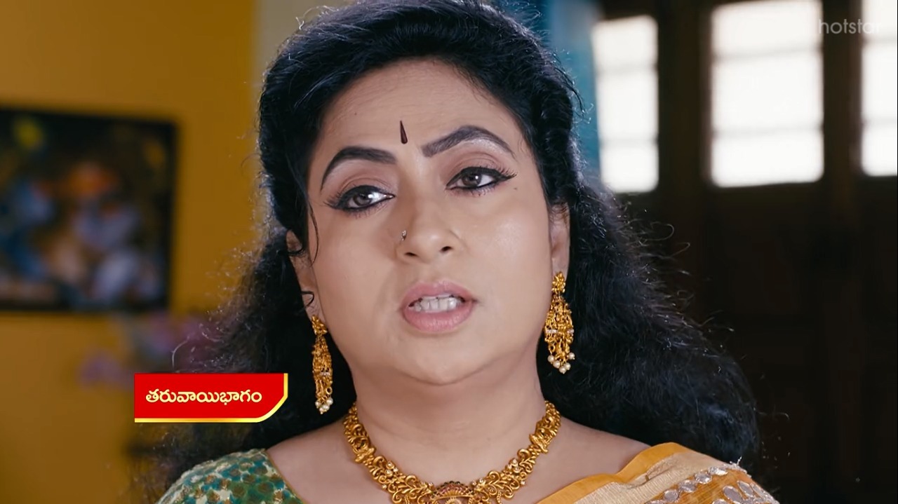 Vadinamma : భలే స్కెచ్ వేసిన దమయంతి.. ఇల్లరికం పక్కా అయ్యేలా ప్లాన్!