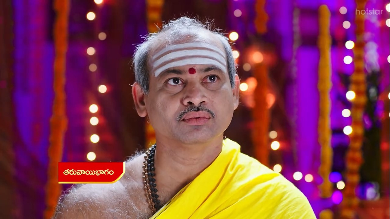 Vadinamma : దమయంతి దెబ్బకి సీతకి షాక్.. లాస్ట్ మినిట్ లో ఎవరూ ఊహించని విధంగా!