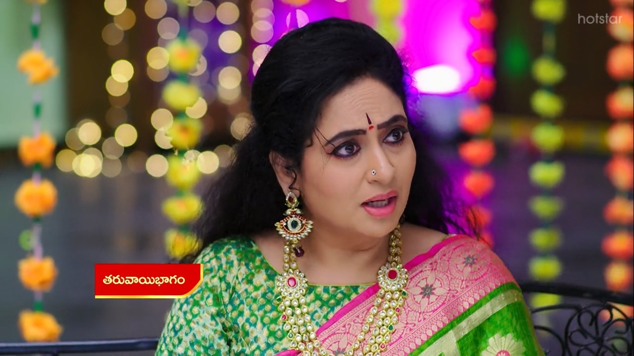 Vadinamma : దమయంతి దెబ్బకి సీతకి షాక్.. లాస్ట్ మినిట్ లో ఎవరూ ఊహించని విధంగా!
