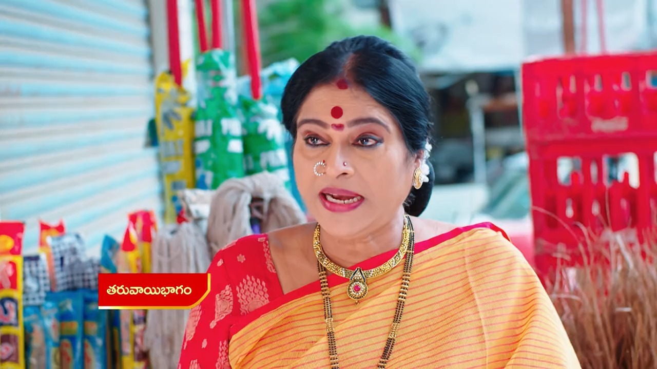Vadinamma : పెను విధ్వంసం ప్లాన్ చేసిన పార్వతి.. అన్యాయం చేస్తారా అంటూ!