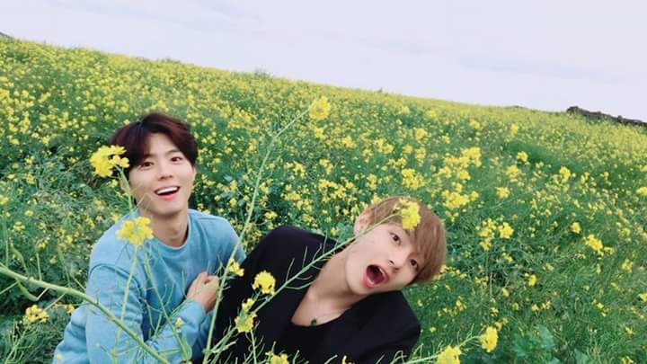 Park Bo Gum & BTS Taehyung Aka V's Pictures That Are Friendship Goals