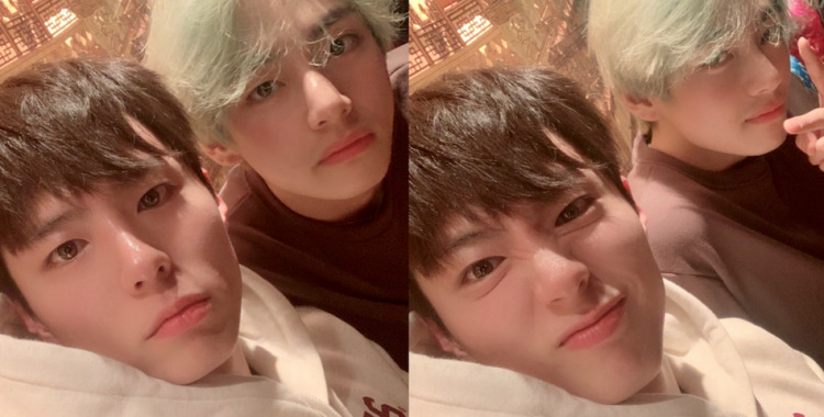 Park Bo Gum & BTS Taehyung Aka V's Pictures That Are Friendship Goals