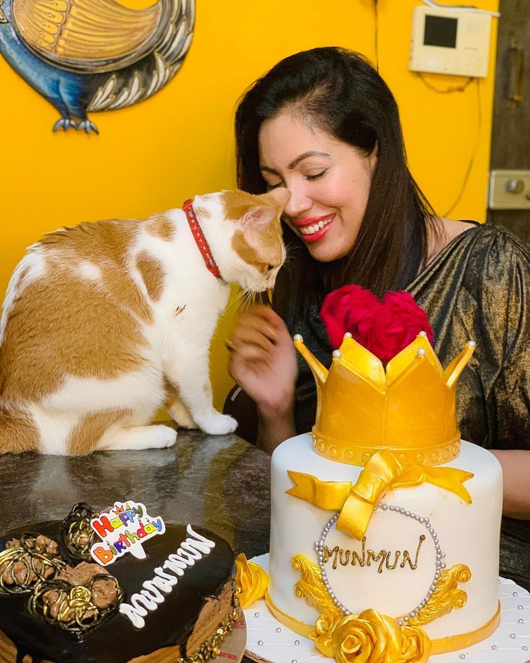 Taarak Mehta Ka Ooltah Chashmah's Munmun Dutta Celebrates Birthday With Her Mother & Pet Cat