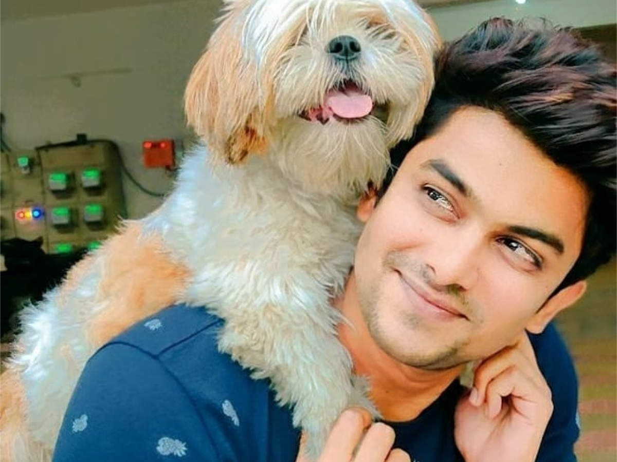 From VJ Sunny To Shanmukh Jaswanth, Know Bigg Boss Telugu 5 Contestants' Remunerations