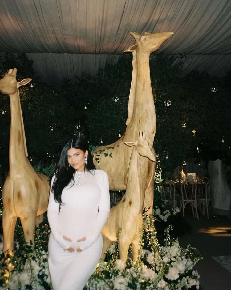 Kylie Jenner’s Giraffe Themed Baby Shower