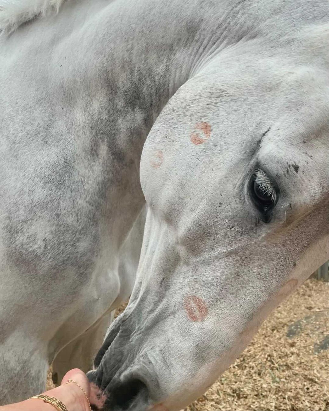 Jason Statham's Newborn Daughter Makes Rare Instagram Debut With Mommy Rosie Huntington-Whiteley