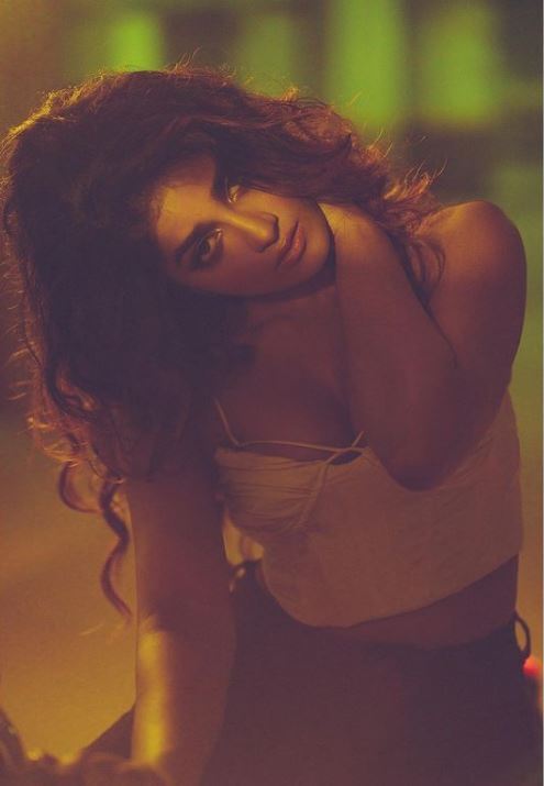 Dimple Hayathi: ఖిలాడి హీరోయిన్ లేటెస్ట్ ఫొటోస్ వైరల్.. అలాంటి బట్టల్లో రచ్చ