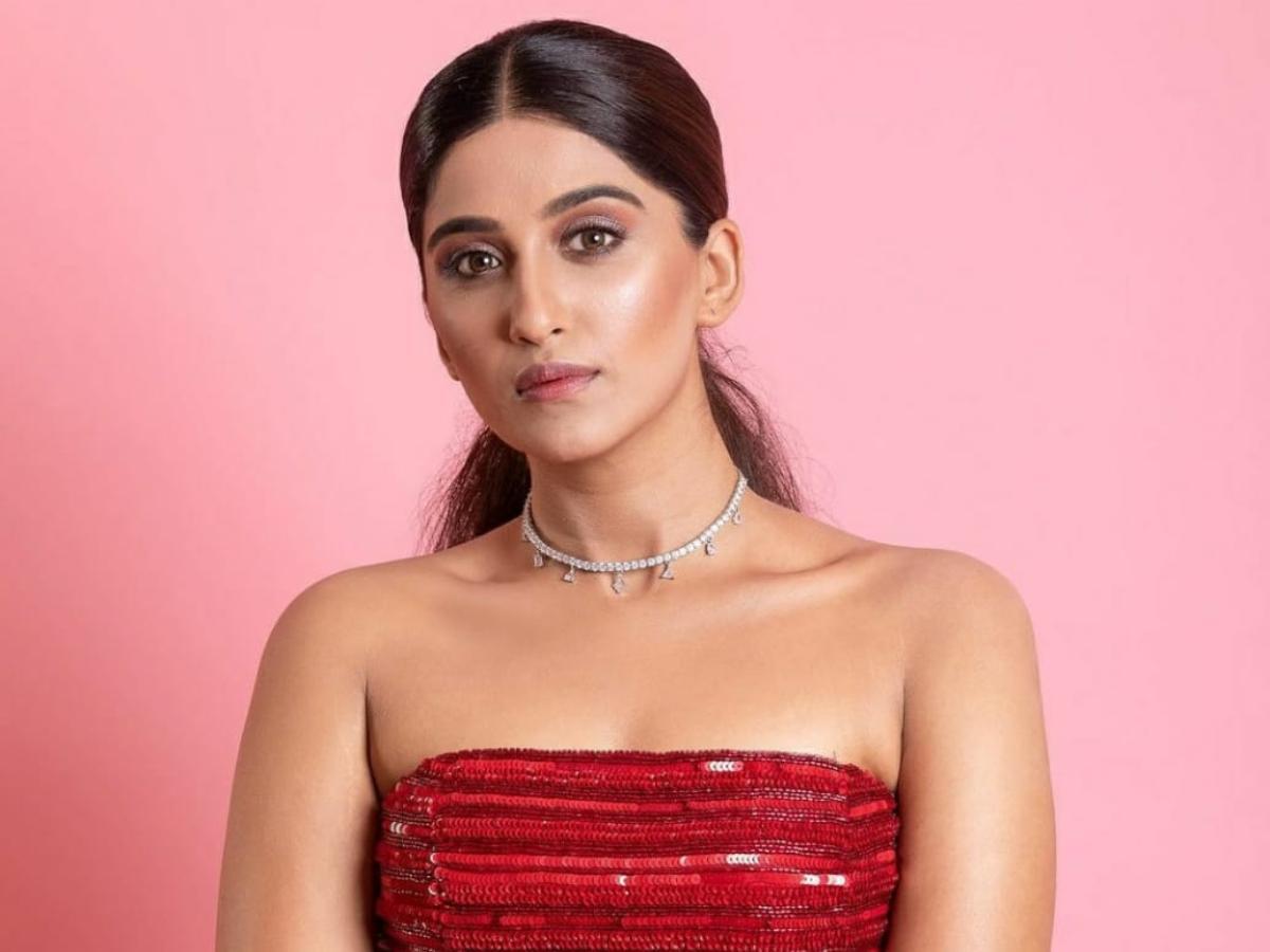 Hindi Bigg Boss 16 Contestants Per Week Remuneration, Here is the Details