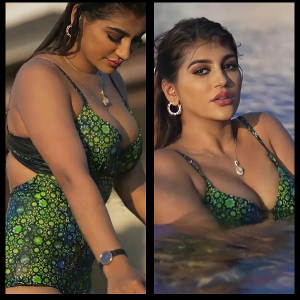 Bigg Boss Tamil Celebrity Of All Seasons Aced Beachwear and Bikinis !! See Photos
