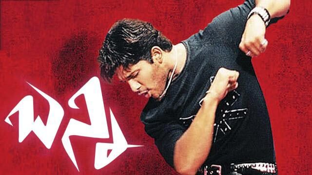 11 Highest-Grossing Films of Allu Arjun that made him the star he is today