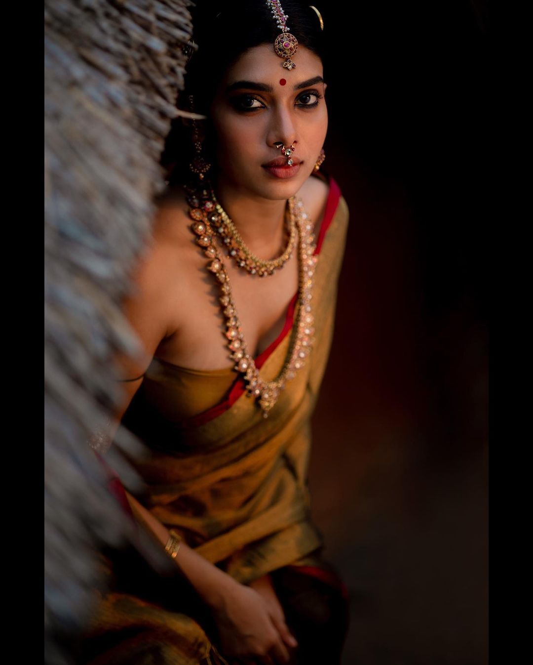 PHOTOS: ஜாக்கெட் அணியாமல்.. தேவதை போல ஜொலிக்கும் துஷாரா விஜயன்.. ராணியா மாறிய ரெனே!