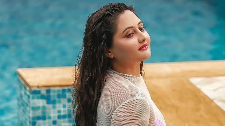 इन टीवी हसीनाओं ने अपने ही पतियों पर लगाए थे घरेलू हिंसा के आरोप, जेल की तक खिलावा दी थी हवा