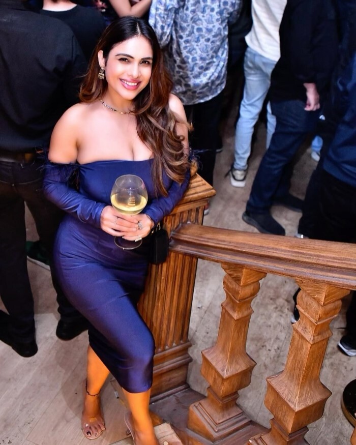 Neha Malik ने भरी महफ़िल में चलाया हुस्न का जादू, हॉट ड्रेस में दिए किलर पोज़