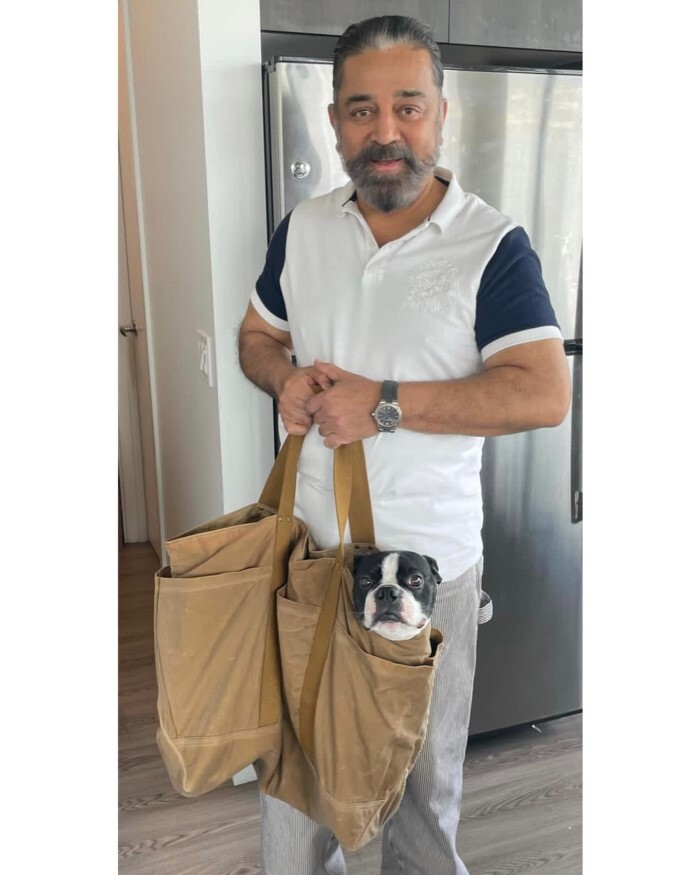 डूबने की कगार पर था करियर, फिर भी नहीं मानी हार, लिया 5 साल का ब्रेक, बनाई ऐसी फ़िल्म कि 400 करोड़ के पार हुई कमाई 