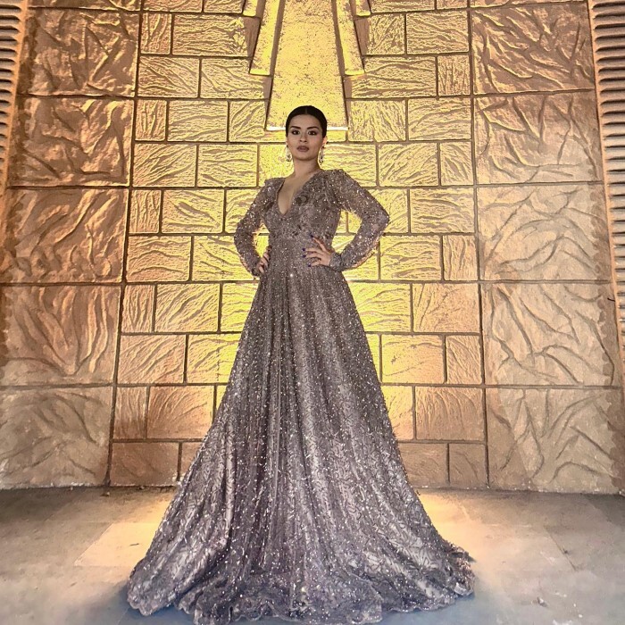 Avneet Kaur ने गाउन में शेयर की तस्वीरें, लुक देख फैन्स भी हार बैठे दिल, फोटोज वायरल 