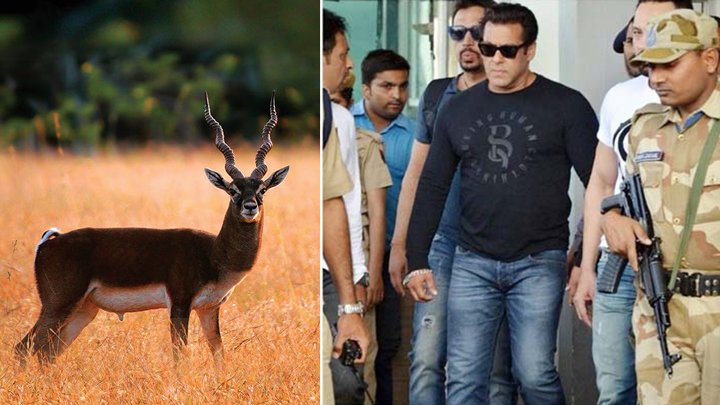 Happy Birthday Salman Khan: 6 Biggest Controversies Surrounding the Actor