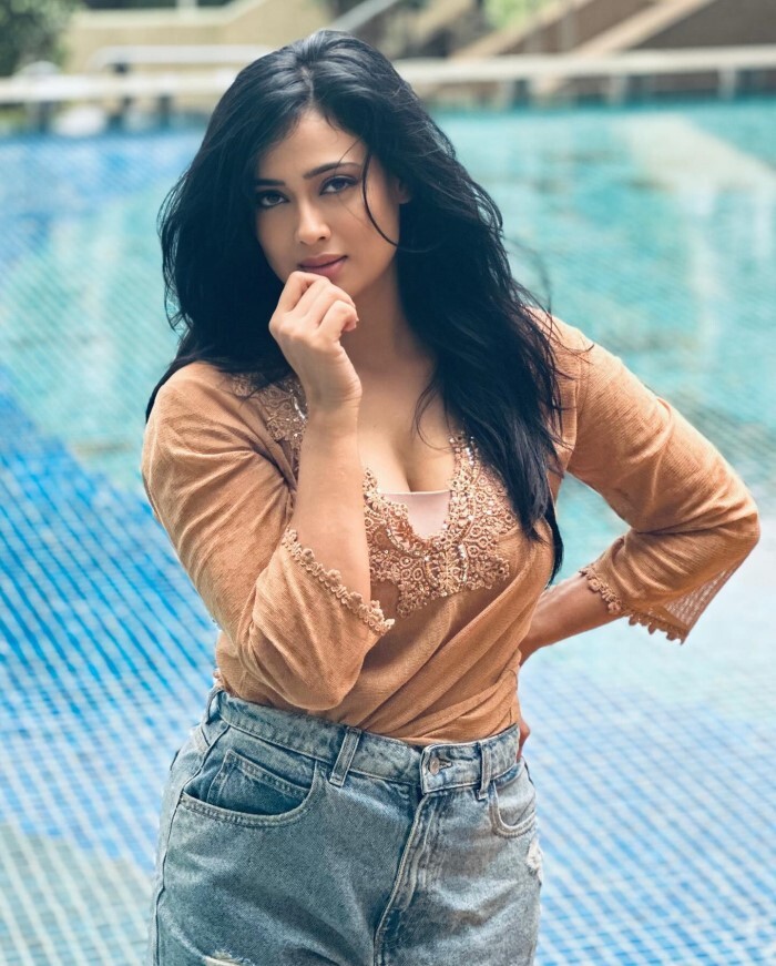 Shweta Tiwari ने साड़ी में बलखाई अदाएं, लुक ने बनाया फैन्स को दीवाना, लोग बोले- '40 साल के पार उम्र फिर भी...' 