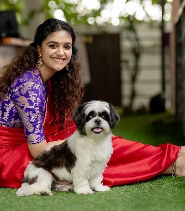  ಕೀರ್ತಿ ಸುರೇಶ್ ಸಂಕ್ರಾಂತಿ ಆಚರಣೆಯ ಕಲರ್‌ಫುಲ್ ಚಿತ್ರಗಳು