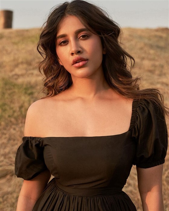 Actress Nabha Natesh Looks Pretty In short  frock