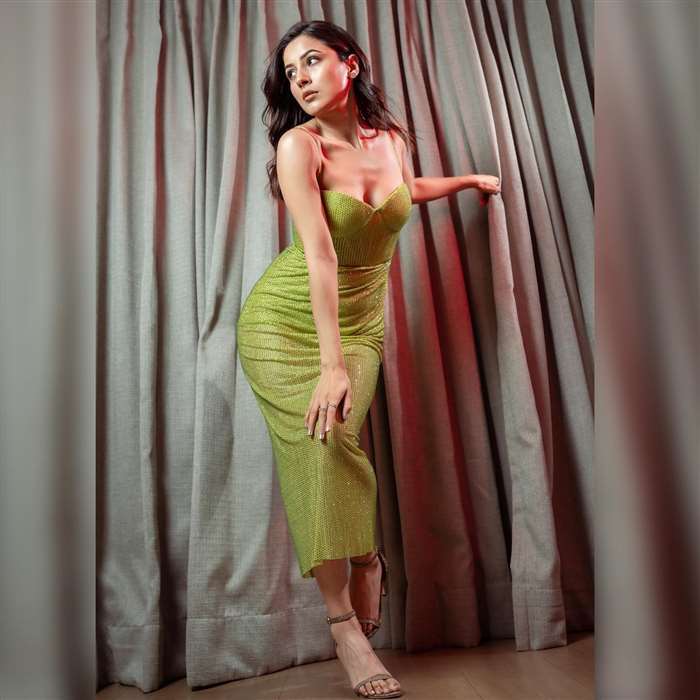 Graceful Glamour: Shehnaaz Kaur Gill's Mesmerizing Photoshoot
